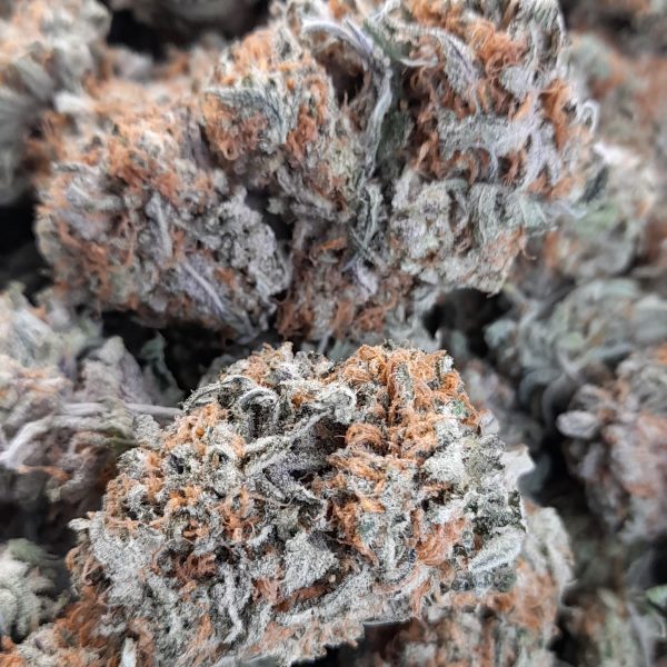 Blue Dream (AAA Sativa Hybrid) - Image 2