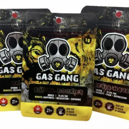 Gas Gang Premium Shatter with a glass-like texture, offering high potency and a smooth, flavorful experience.