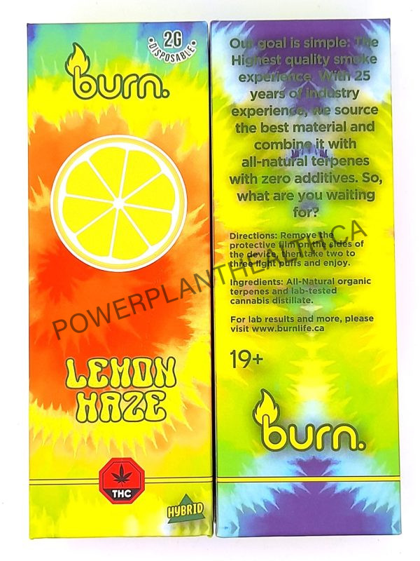 Burn. 2g Disposable Vape - Image 7