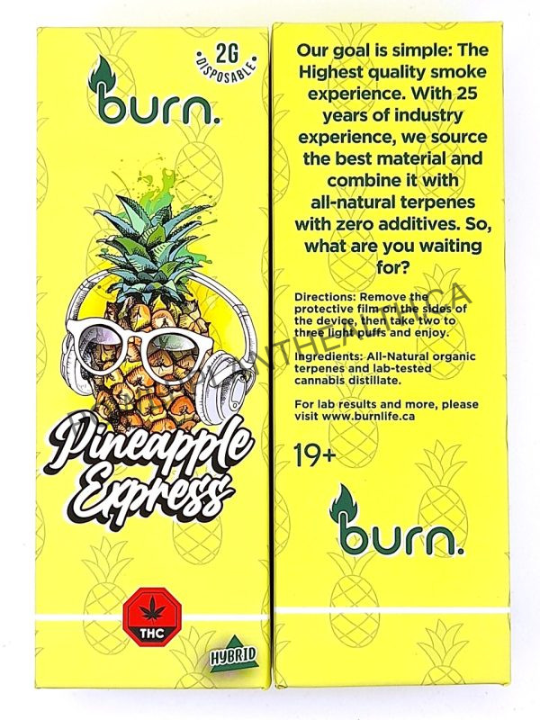 Burn. 2g Disposable Vape - Image 9