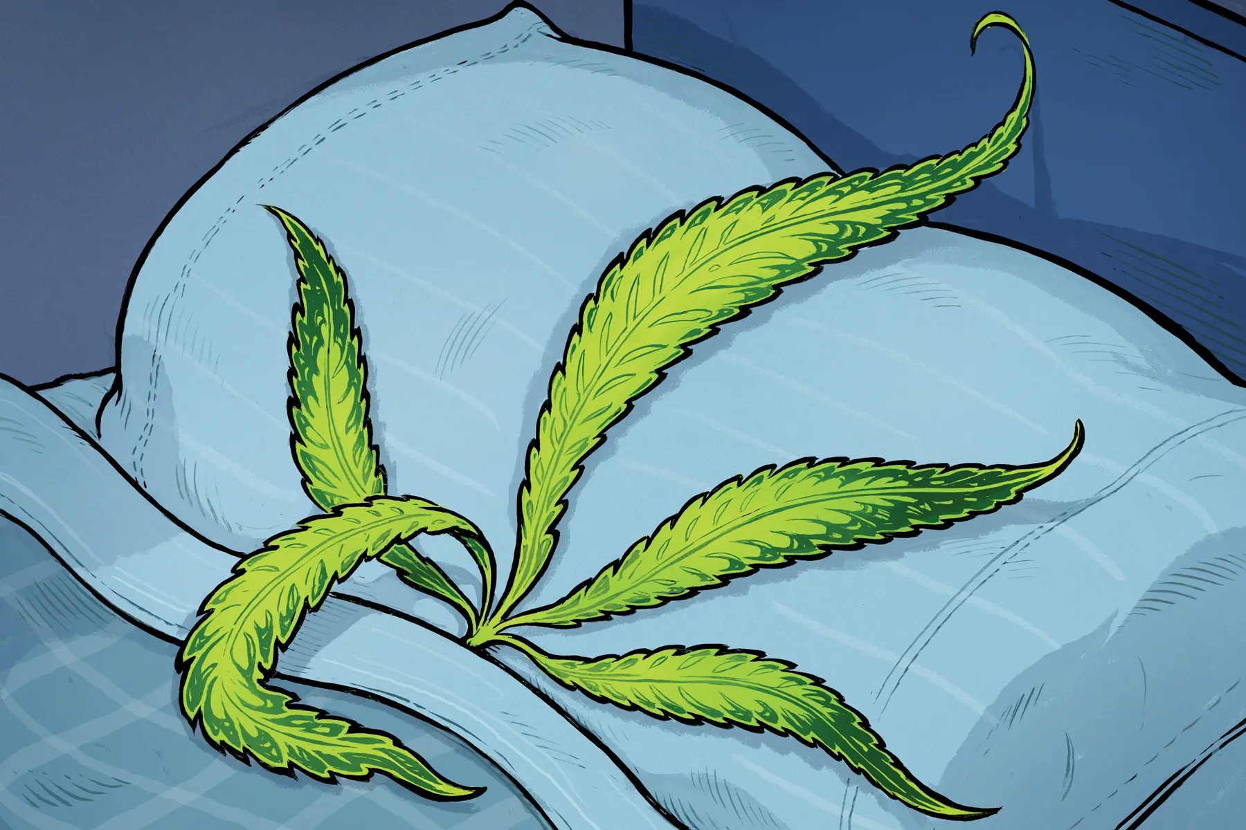 Can Cannabis Improve Your Sleep Quality