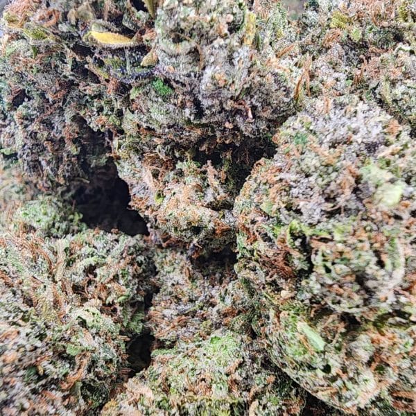 Pink Diablo cannabis with vibrant green and purple buds, frosty trichomes, and a sweet, spicy aroma.