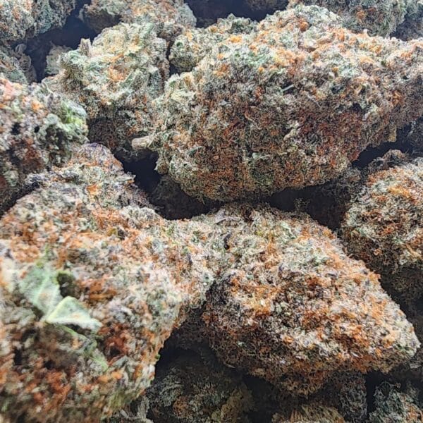 Grape Ape (AAAA Indica) [Top Shelf] [$115 for 28g] "Customer Appreciation" - Image 2