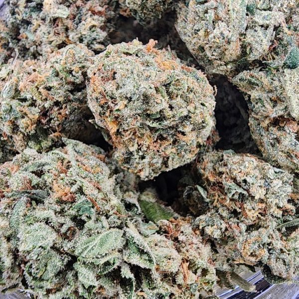 King Louie XIII cannabis buds with dense orange hairs, light green hues, and frosty trichomes, delivering relaxation and relief.