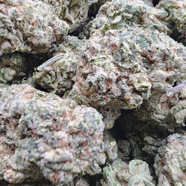 Blueberry Headband (AAA+ Indica) [$79 for 28g] "Price Rollback" - Image 3