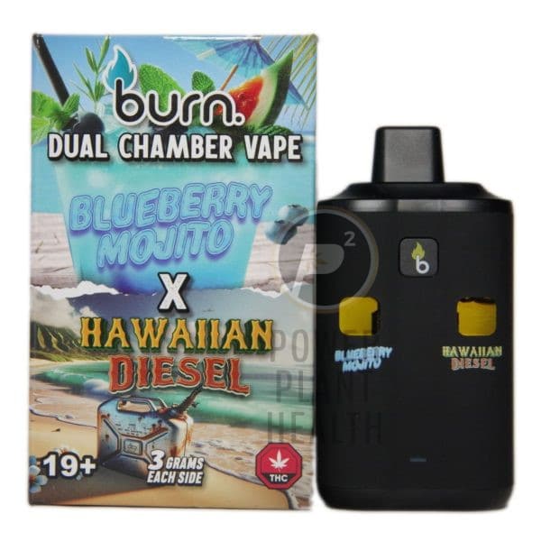 Burn. 6g Dual Chamber Vape - Image 7