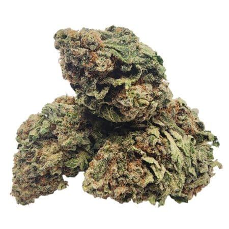 Frost Berry cannabis buds with blue undertones, frosty trichomes, and sweet berry flavor for a relaxing experience.