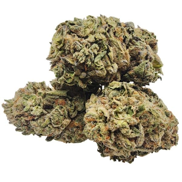 Sour Diesel cannabis strain with dense light-green buds, orange hairs, and a bold diesel aroma.