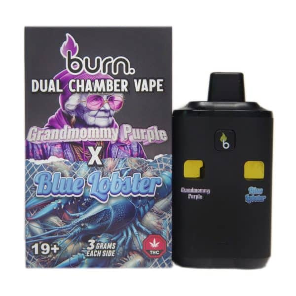 Burn Dual Chamber Vape with sleek design, dual chambers, and pure, flavorful vapor for versatile vaping.