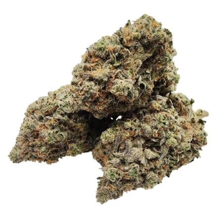 Cotton Candy Cane strain with grape-shaped minty green buds, golden trichomes, and sweet berry candy flavor.