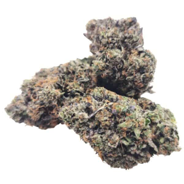 Island Pink cannabis buds with neon green hues, hot pink hairs, and frosty trichomes delivering sweet vanilla flavor and relaxing effects.