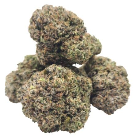 Pink Diablo cannabis with vibrant green and purple buds, frosty trichomes, and a sweet, spicy aroma.