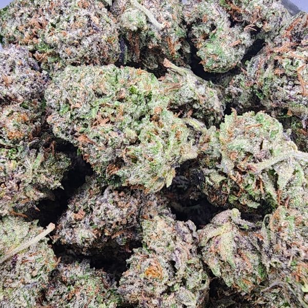 Pink Insanity cannabis buds with green nugs, vibrant pink hairs, and frosty trichomes, offering calming and euphoric effects.