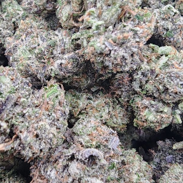 Pink Insanity cannabis buds with green nugs, vibrant pink hairs, and frosty trichomes, offering calming and euphoric effects.