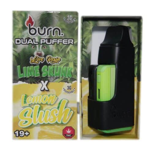 Burn 5g Dual Puffer with Live Resin and Distillate Flavor Combination