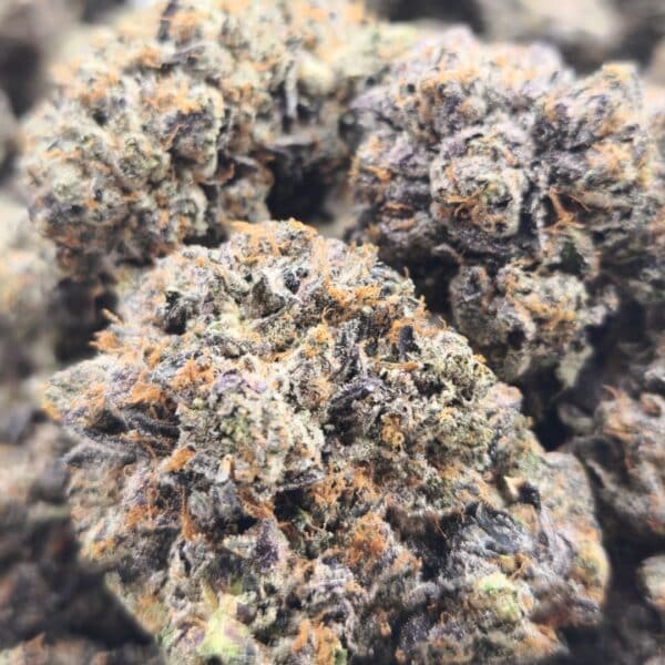 Granddaddy Purple (AAAA+ Indica) [Craft Cannabis] [$215 for 28g] - Image 2