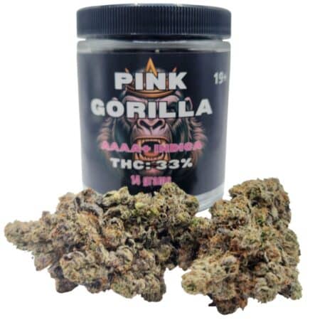 A jar labeled 'Pink Gorilla AAAA+ Indica THC: 33%' with dense, frosty cannabis buds in front, showcasing vibrant green and purple hues with orange hairs and a thick trichome coating.