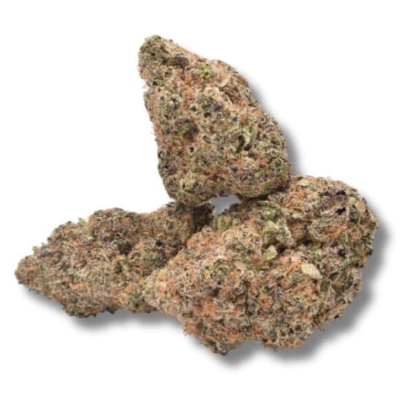 Purple Truffle Strain Vibrant Green and Purple Nugs with Frosty Trichomes