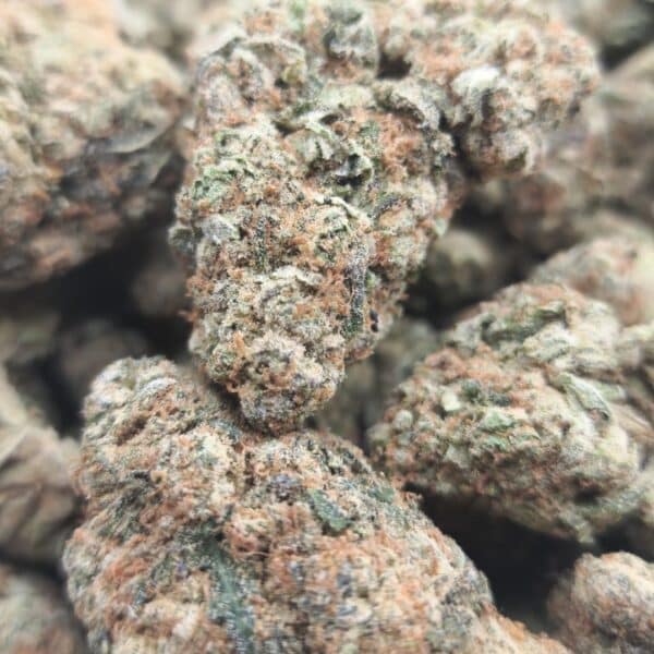 Strawberry Cough (AAA+ Sativa) [$89 for 28g] "Restocked" - Image 2