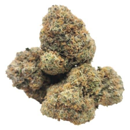 GMO Zkittlez cannabis buds with minty green hues, lilac undertones, and chunky trichomes