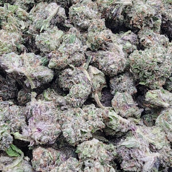 Tom Ford Pink Kush (AAAA Indica) [$99 for 28g] "Popcorn Buds" - Image 2